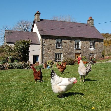Llandysul Nantgwynfaen Organic Farm Wales 빌라 외부 사진