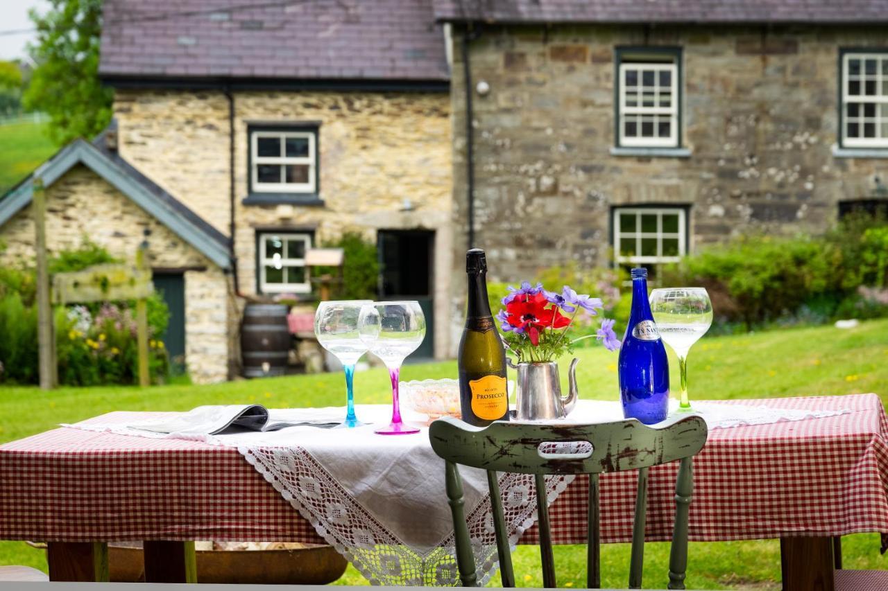 Llandysul Nantgwynfaen Organic Farm Wales 빌라 외부 사진