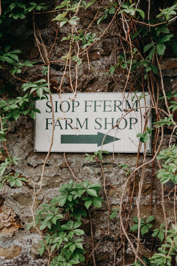 Llandysul Nantgwynfaen Organic Farm Wales 빌라 외부 사진
