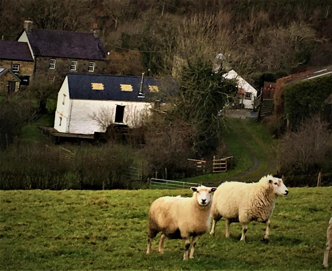 Llandysul Nantgwynfaen Organic Farm Wales 빌라 외부 사진