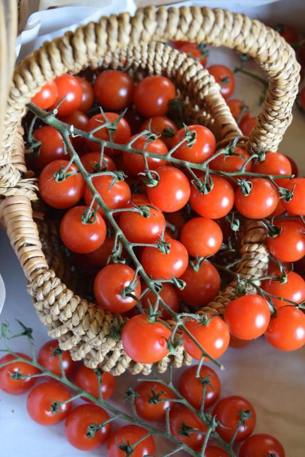 Llandysul Nantgwynfaen Organic Farm Wales 빌라 외부 사진
