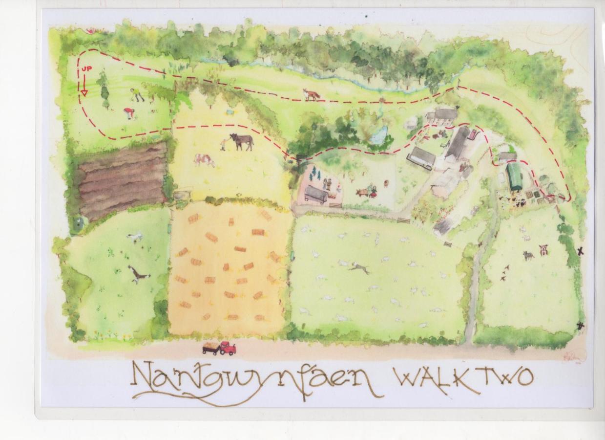 Llandysul Nantgwynfaen Organic Farm Wales 빌라 외부 사진