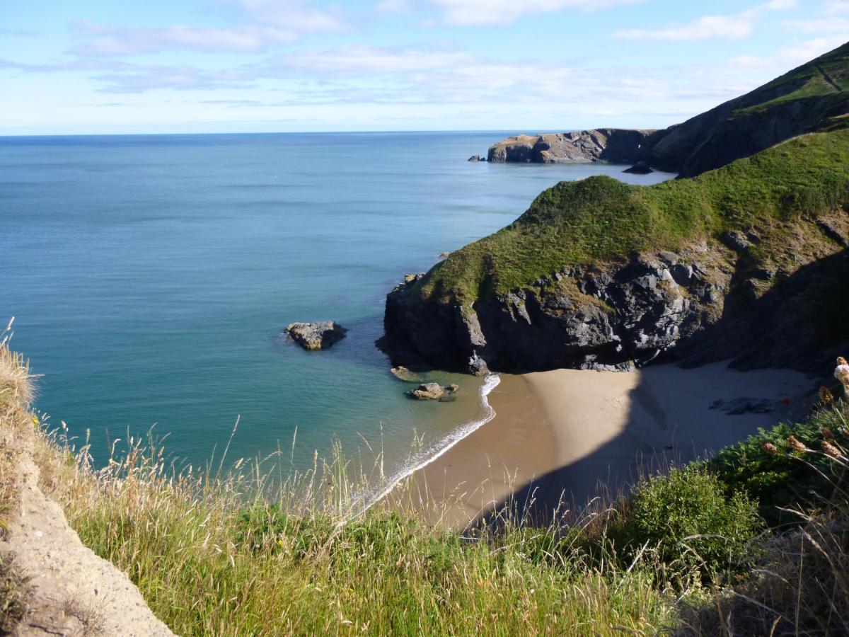 Llandysul Nantgwynfaen Organic Farm Wales 빌라 외부 사진