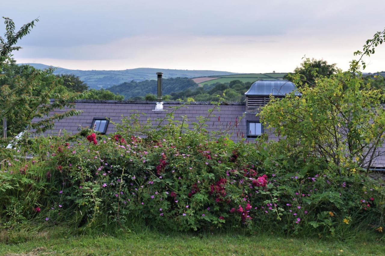 Llandysul Nantgwynfaen Organic Farm Wales 빌라 외부 사진