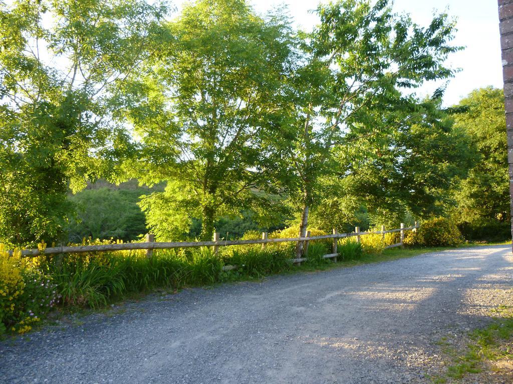 Llandysul Nantgwynfaen Organic Farm Wales 빌라 외부 사진