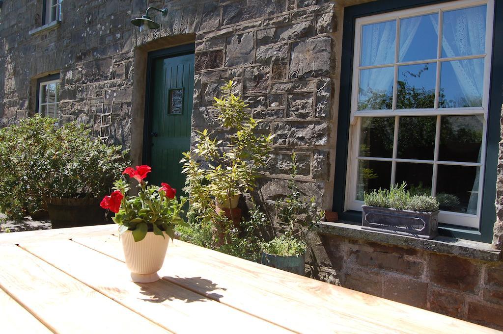 Llandysul Nantgwynfaen Organic Farm Wales 빌라 외부 사진