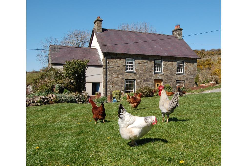 Llandysul Nantgwynfaen Organic Farm Wales 빌라 외부 사진