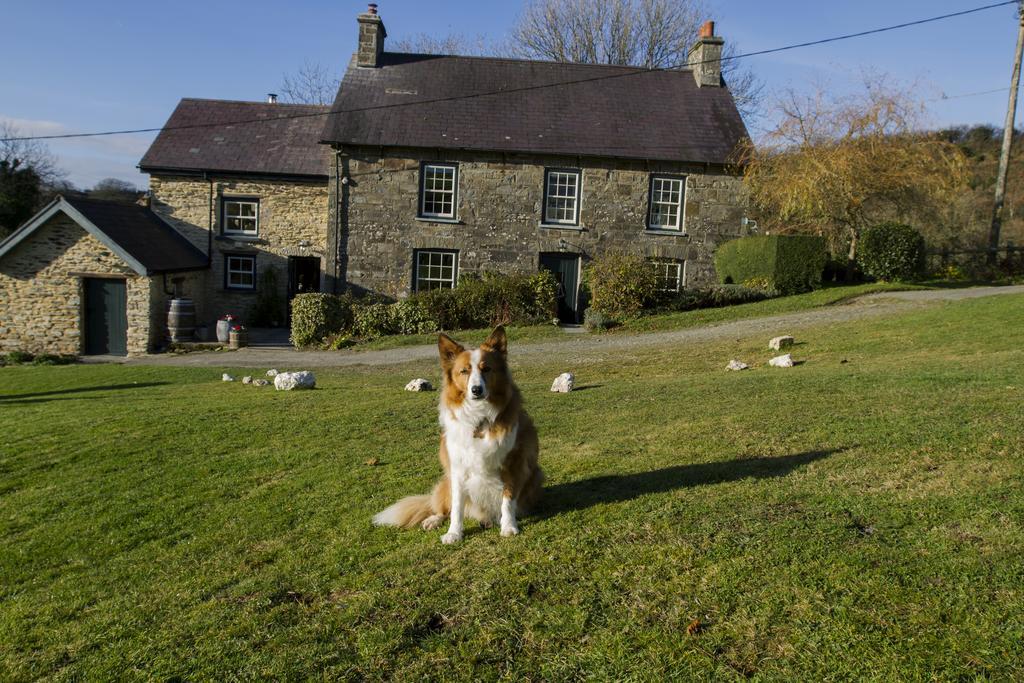 Llandysul Nantgwynfaen Organic Farm Wales 빌라 외부 사진